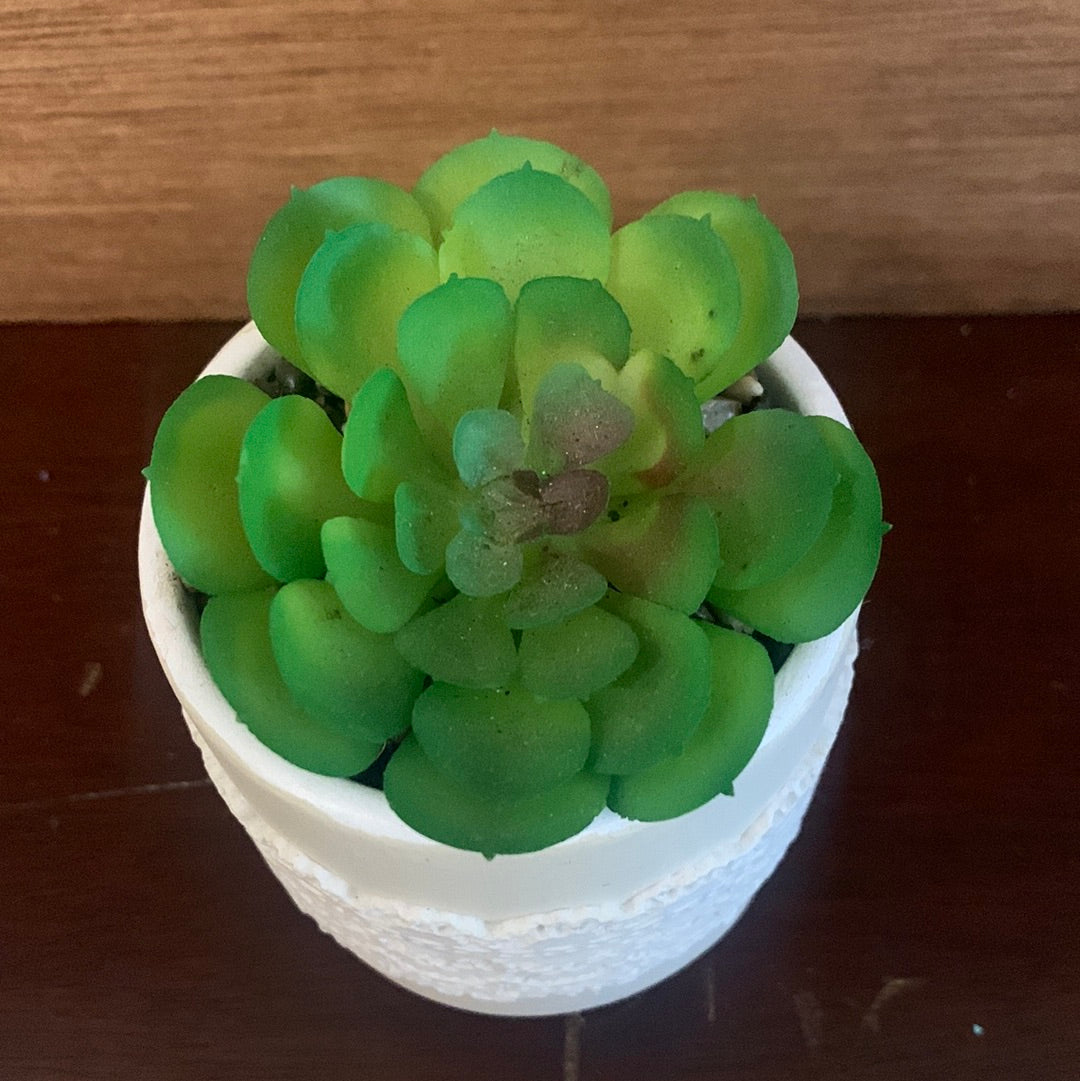 Faux Succulent