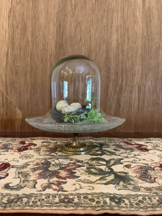 Glass Stand with Cloche