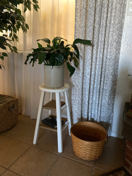 Plant Stand/Side Table